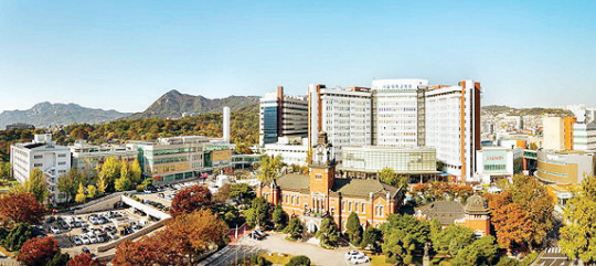 서울대병원은 소화과, 순환기, 내분비, 소화기 등의 분야에서 좋은 성적을 거두었다.