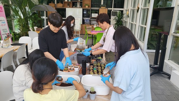 한독 임직원들이 커피찌꺼기로 다육식물을 만들고 있다/ 사진=한독