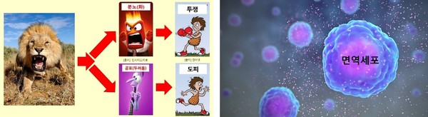 그림 G. 투쟁-도피 반응(좌) 및 면역세포에서 분비되는 내부화학물질(우)