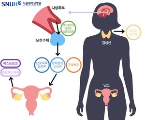 女性の健康に左右される「女性ホルモン」